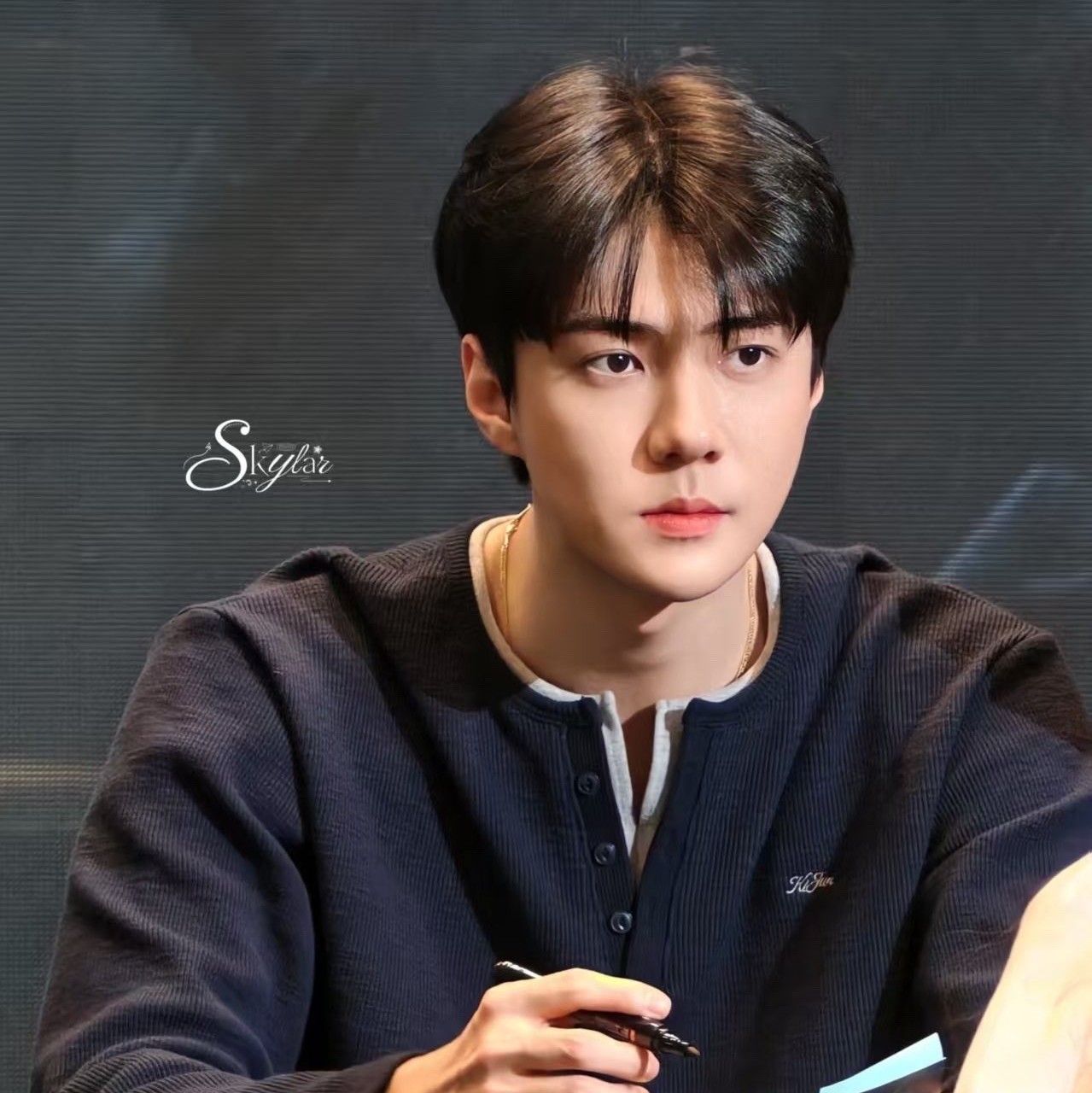 EXO 팬이 찍은 순간