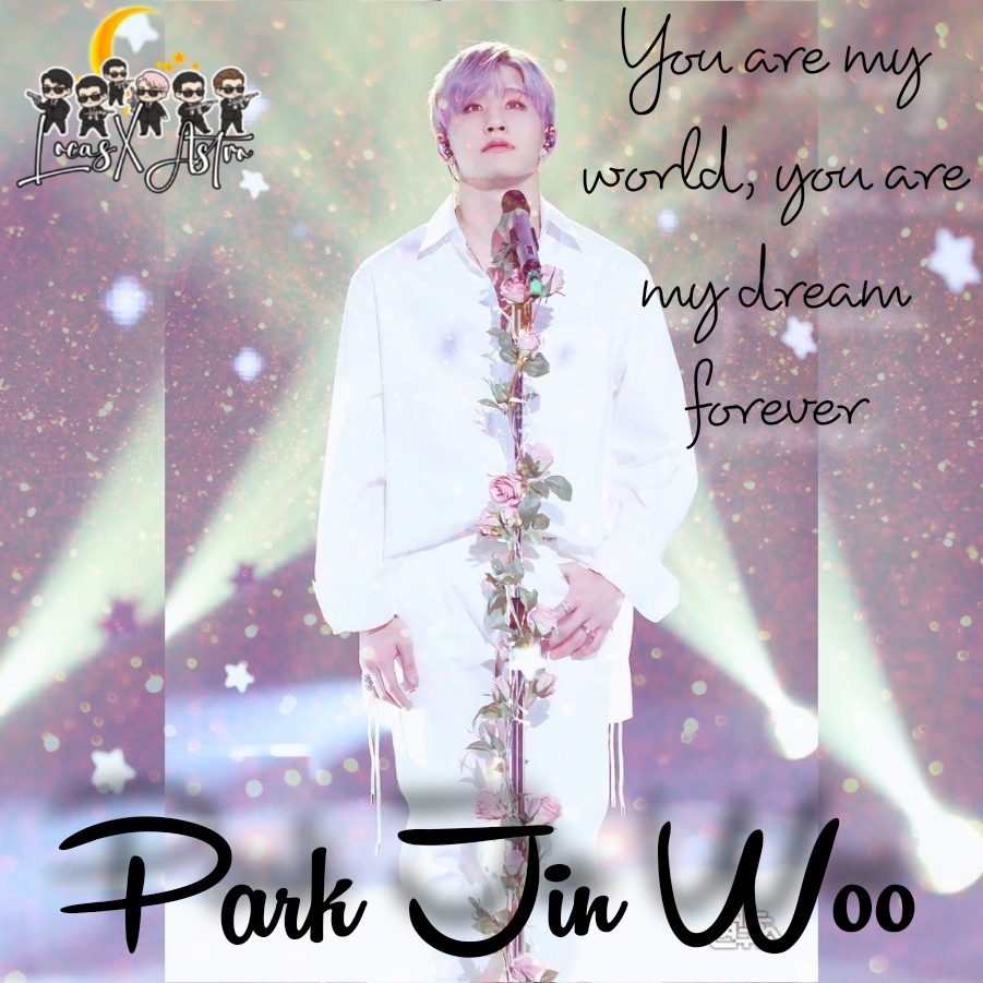 A moment captured by Jinjin (ASTRO)'s fan