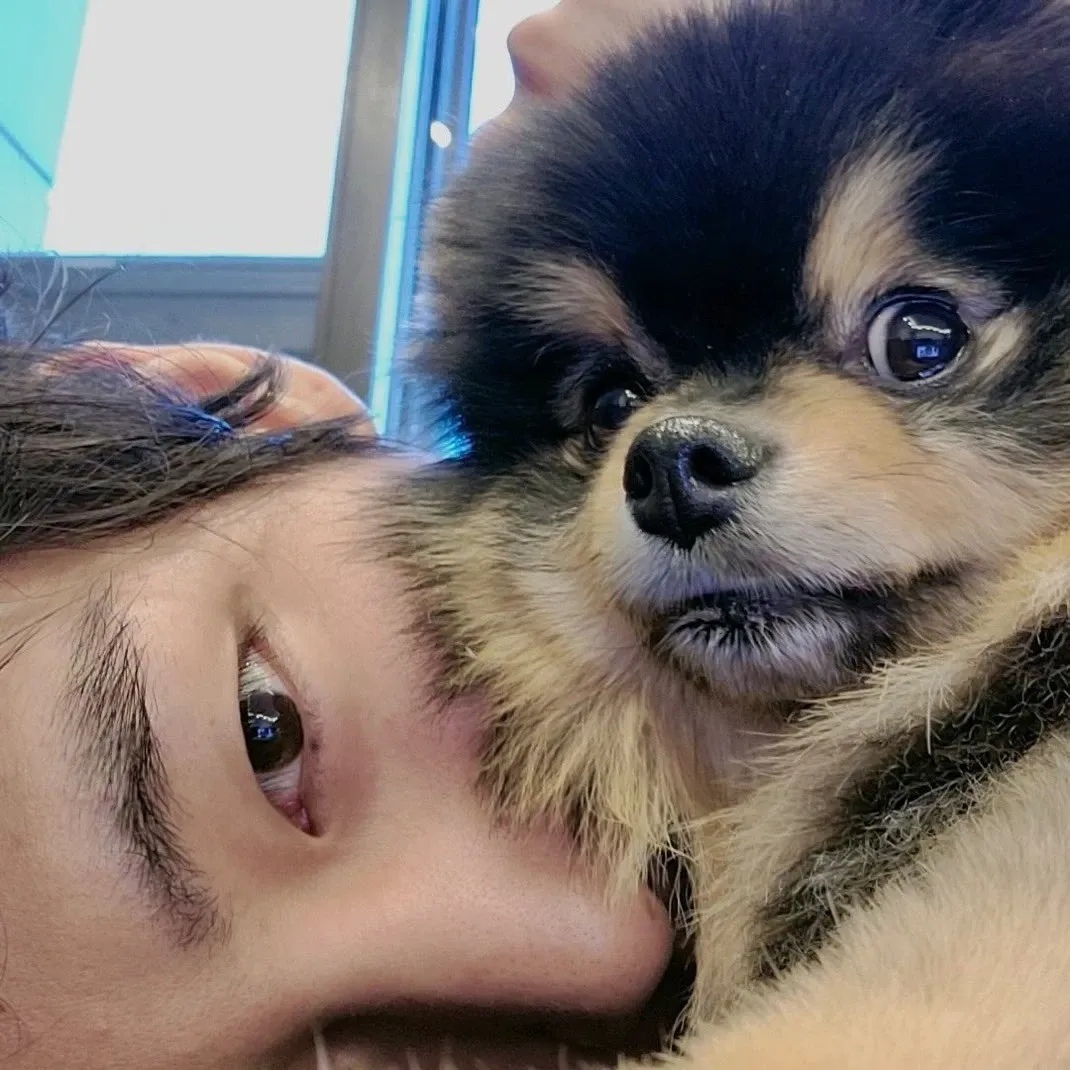 뷔 (방탄소년단) 팬이 찍은 순간