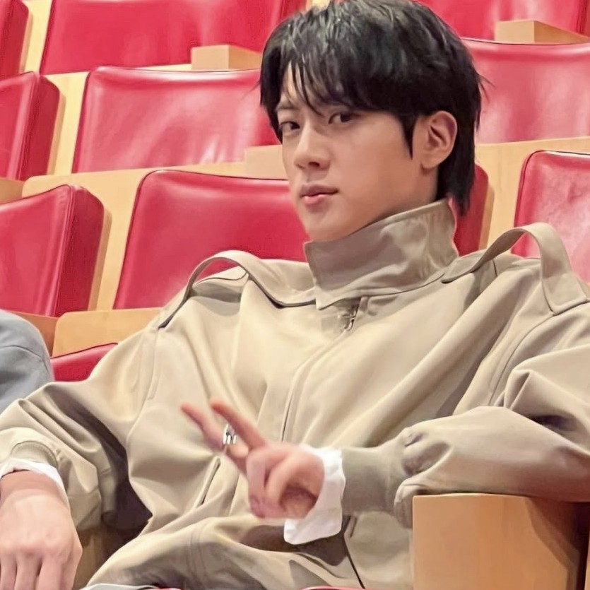 A moment captured by Jin (BTS)'s fan