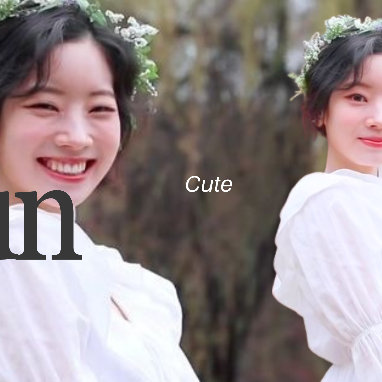 다현 (TWICE) 팬이 찍은 순간