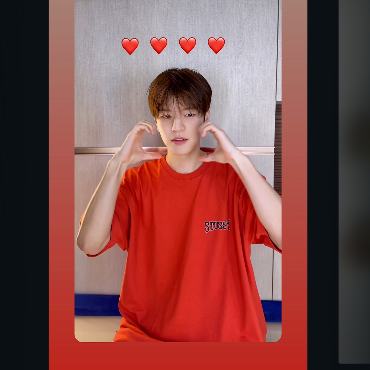 Stray Kids 팬이 찍은 순간