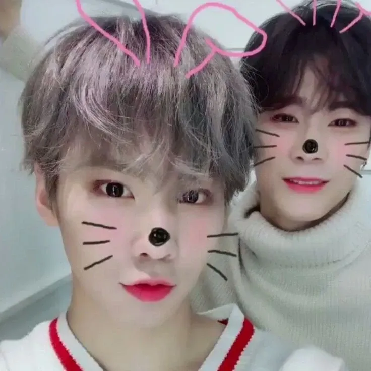 Recent activity shot of Rocky