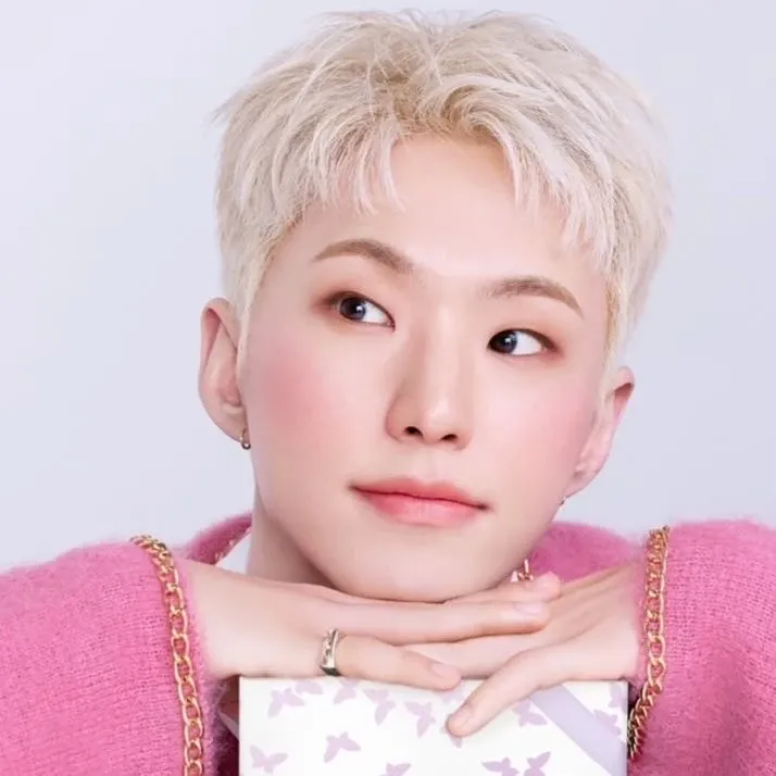 A moment captured by Hoshi (SEVENTEEN)'s fan