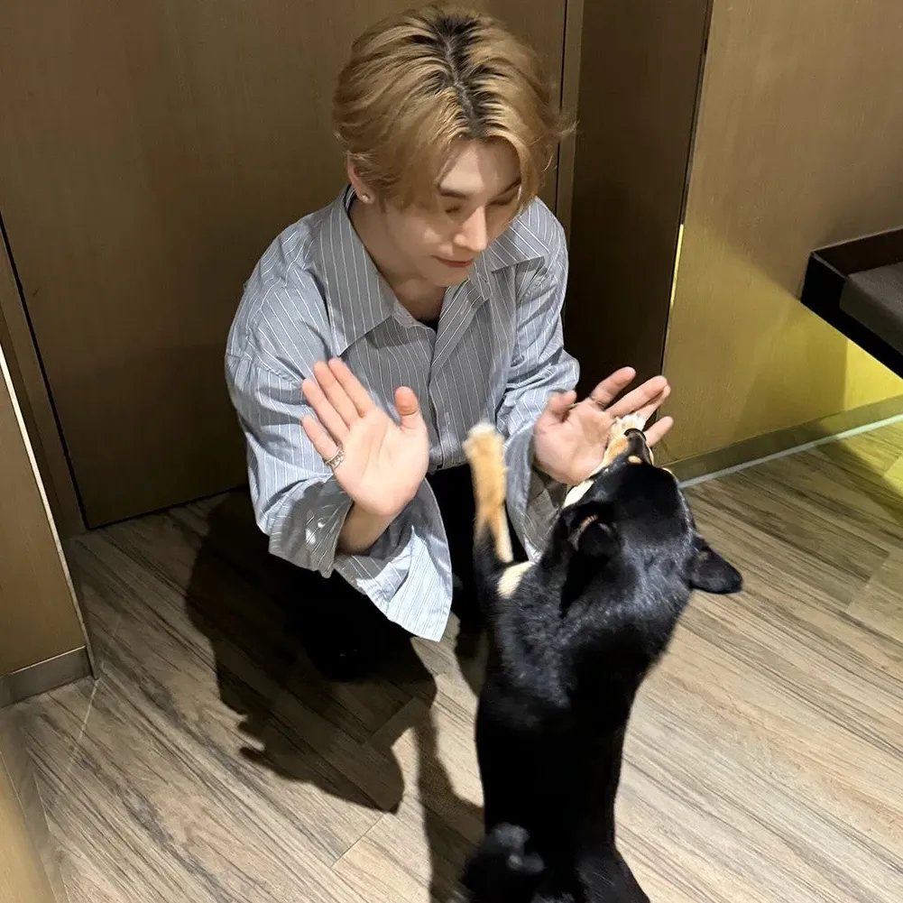 허씬롱 (알파드라이브원)의 최신 사진