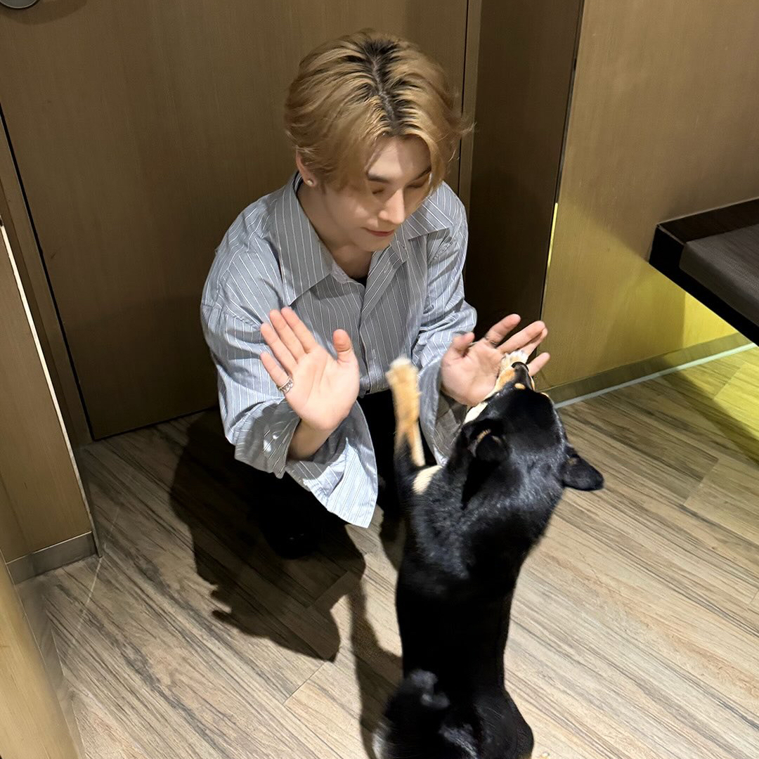 허씬롱 (알파드라이브원)의 최신 사진