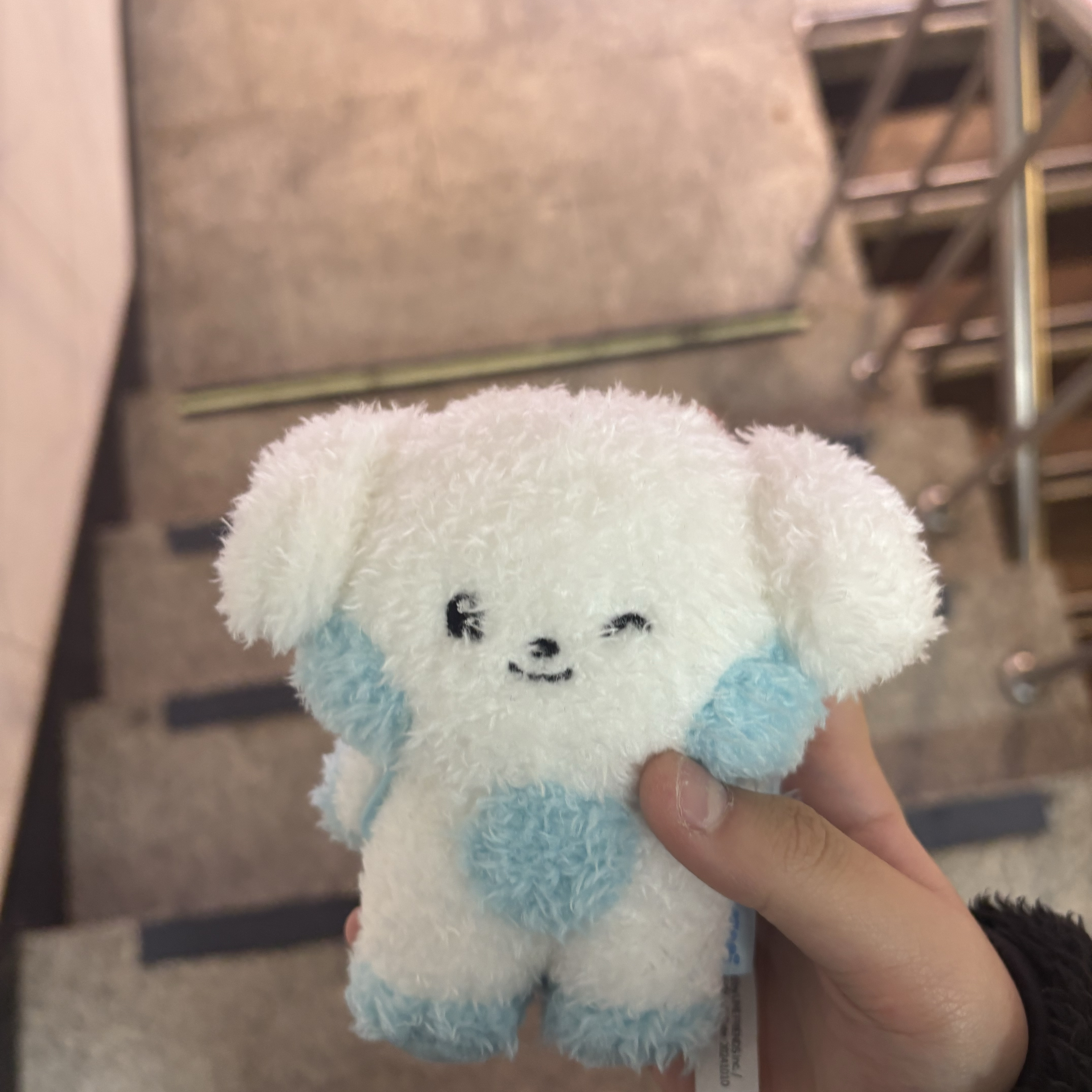 Recent activity shot of Kim Gyuvin