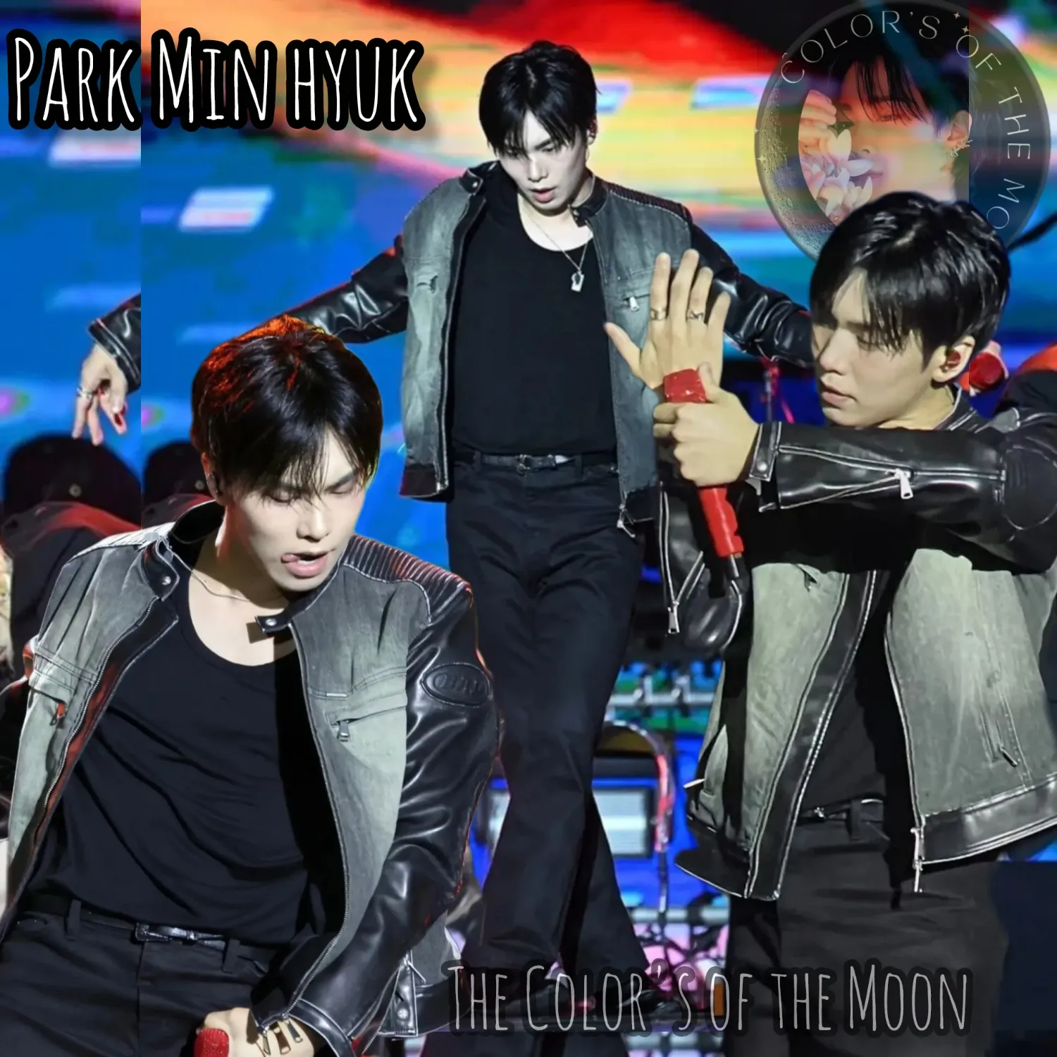 Recent activity shot of Rocky