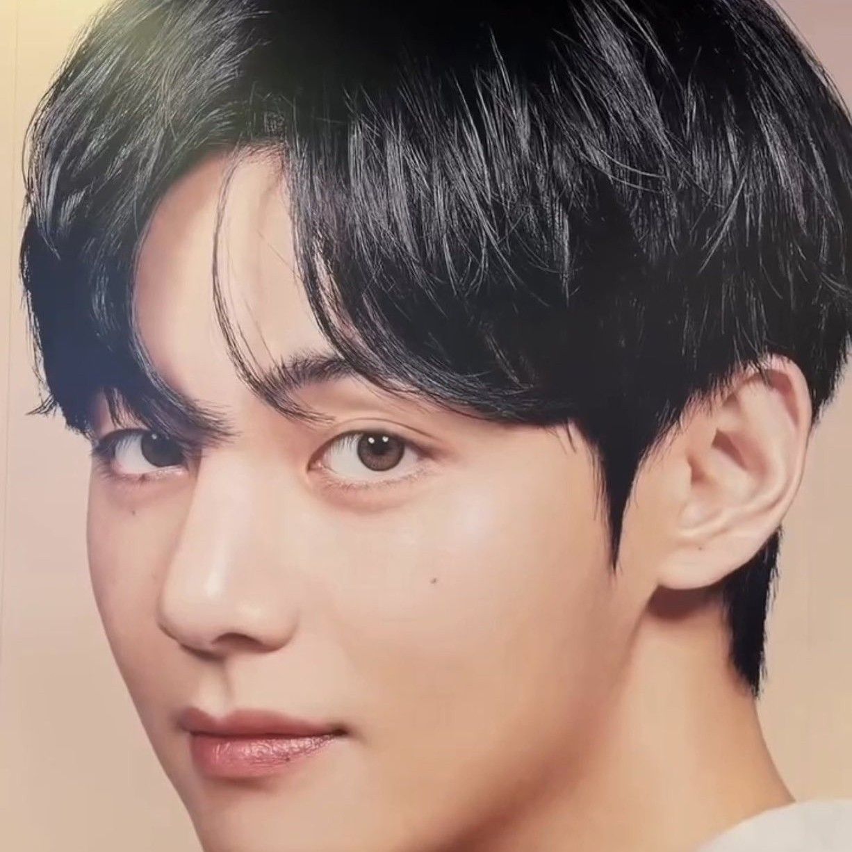 Behind-the-scenes cut of V (BTS)