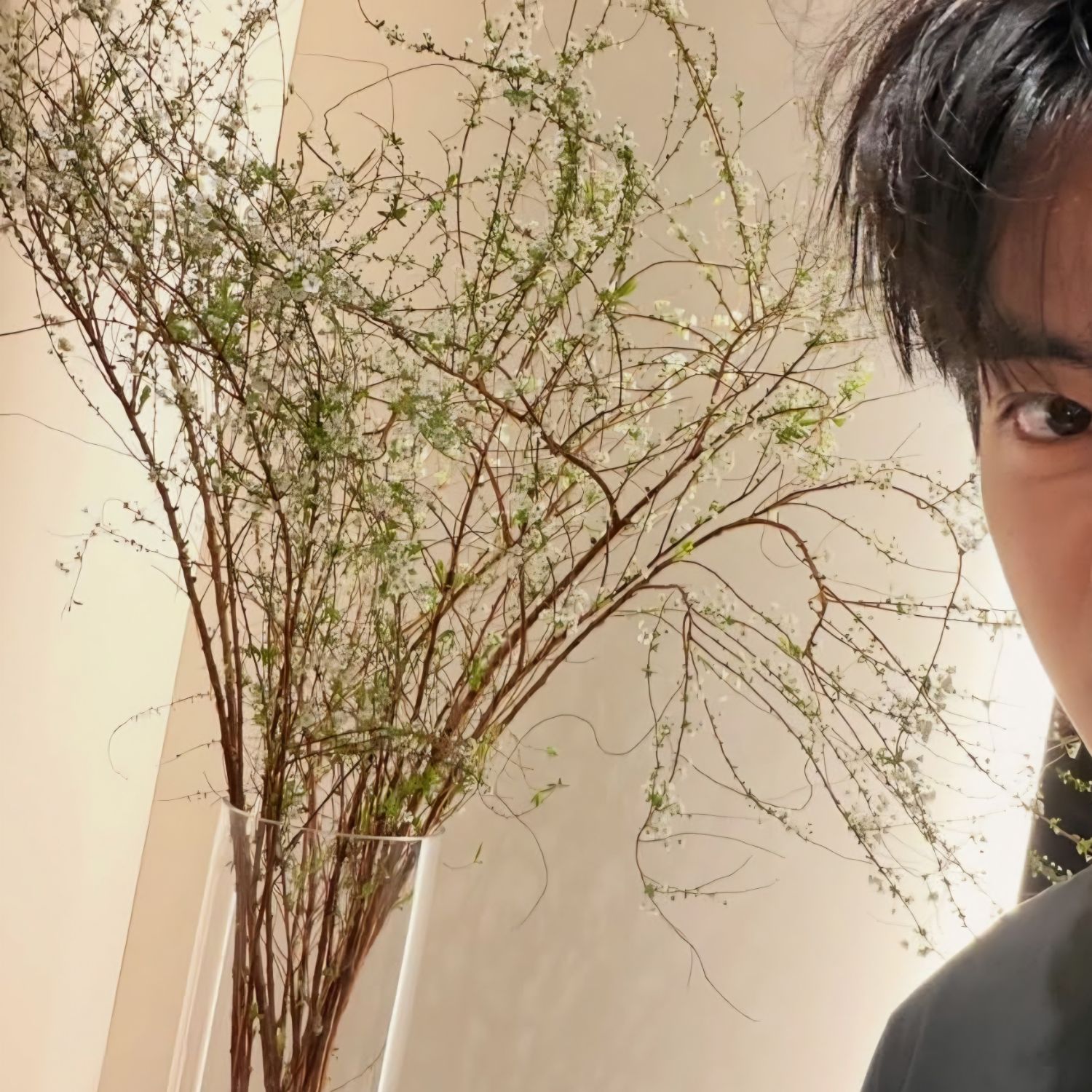 V (防弹少年团)的幕后花絮