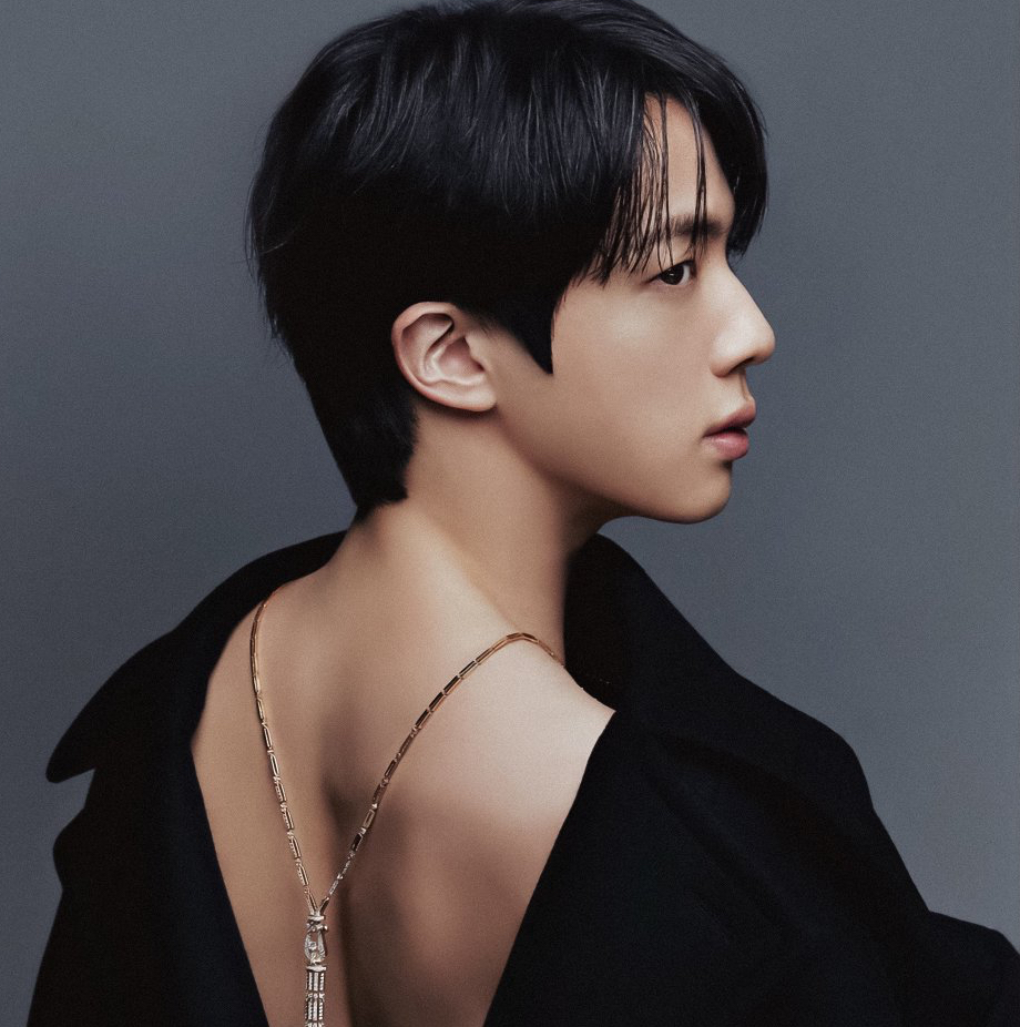 Jin (防弹少年团)的最新活动照片