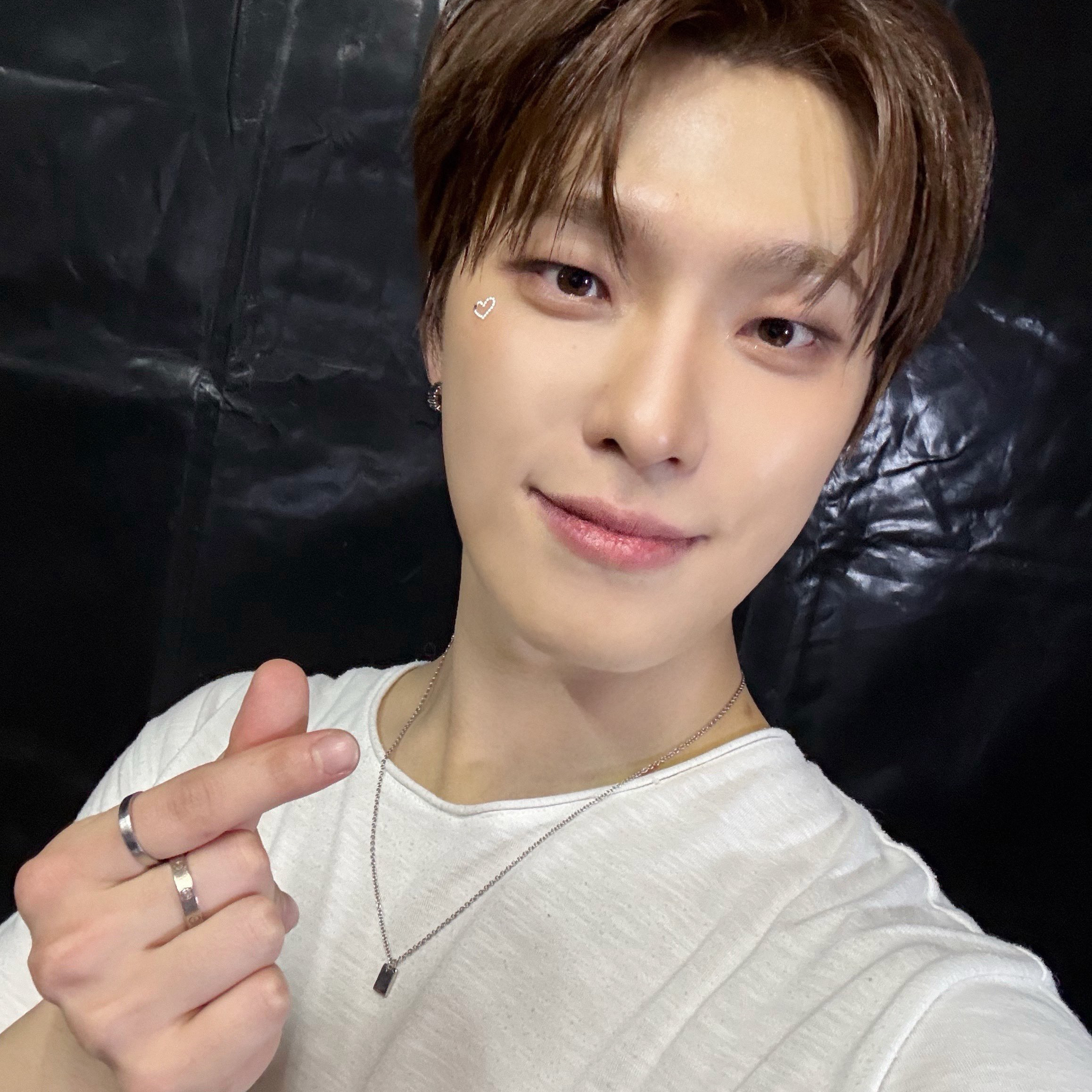 SEVENTEENファンが撮った瞬間