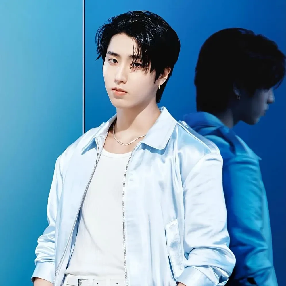 A moment captured by HAN (Stray Kids)'s fan