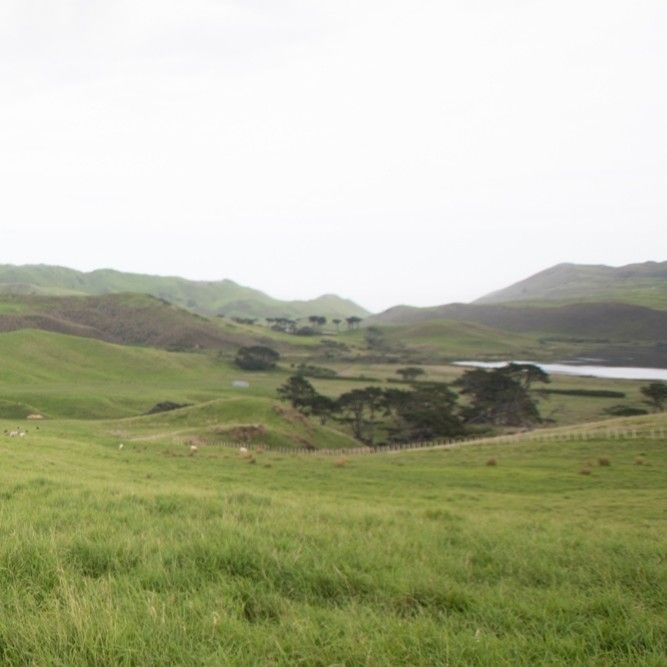 Recent activity shot of Solar (MAMAMOO)