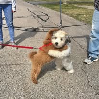 Behind-the-scenes cut of THE BOYZ