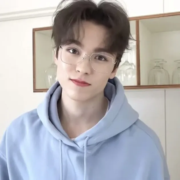 A moment captured by Vernon (SEVENTEEN)'s fan