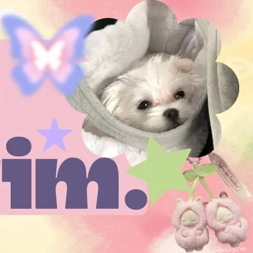 Latest photo of Yeri (Red Velvet)