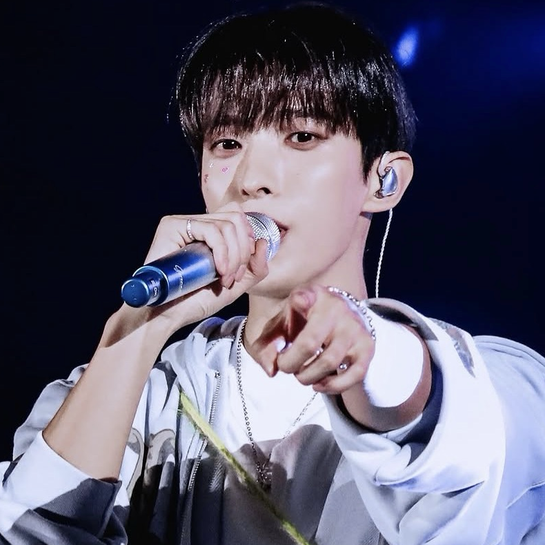 A moment captured by DK (SEVENTEEN)'s fan