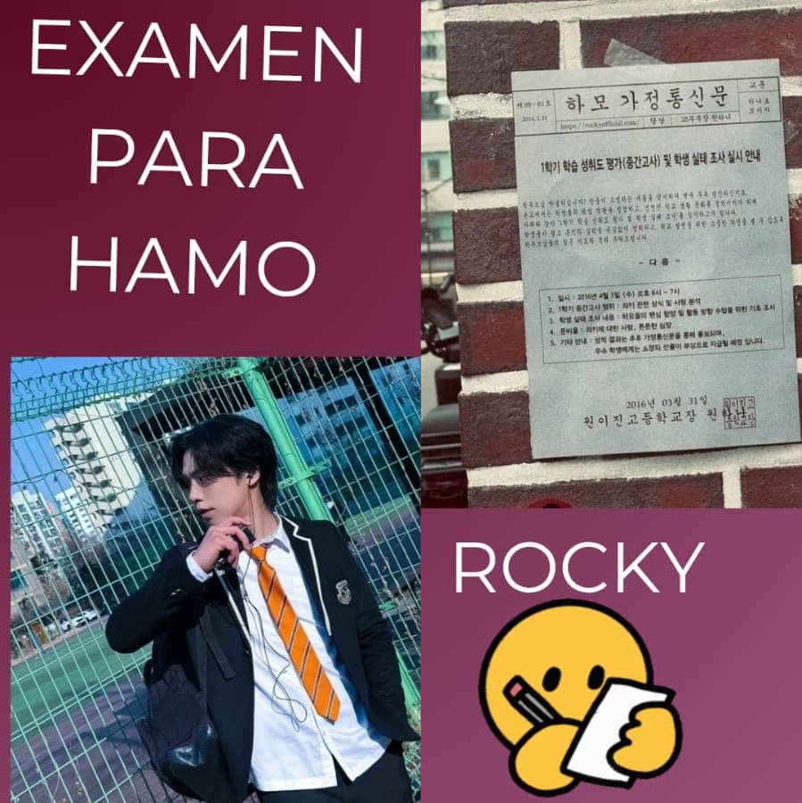 Recent activity shot of Rocky