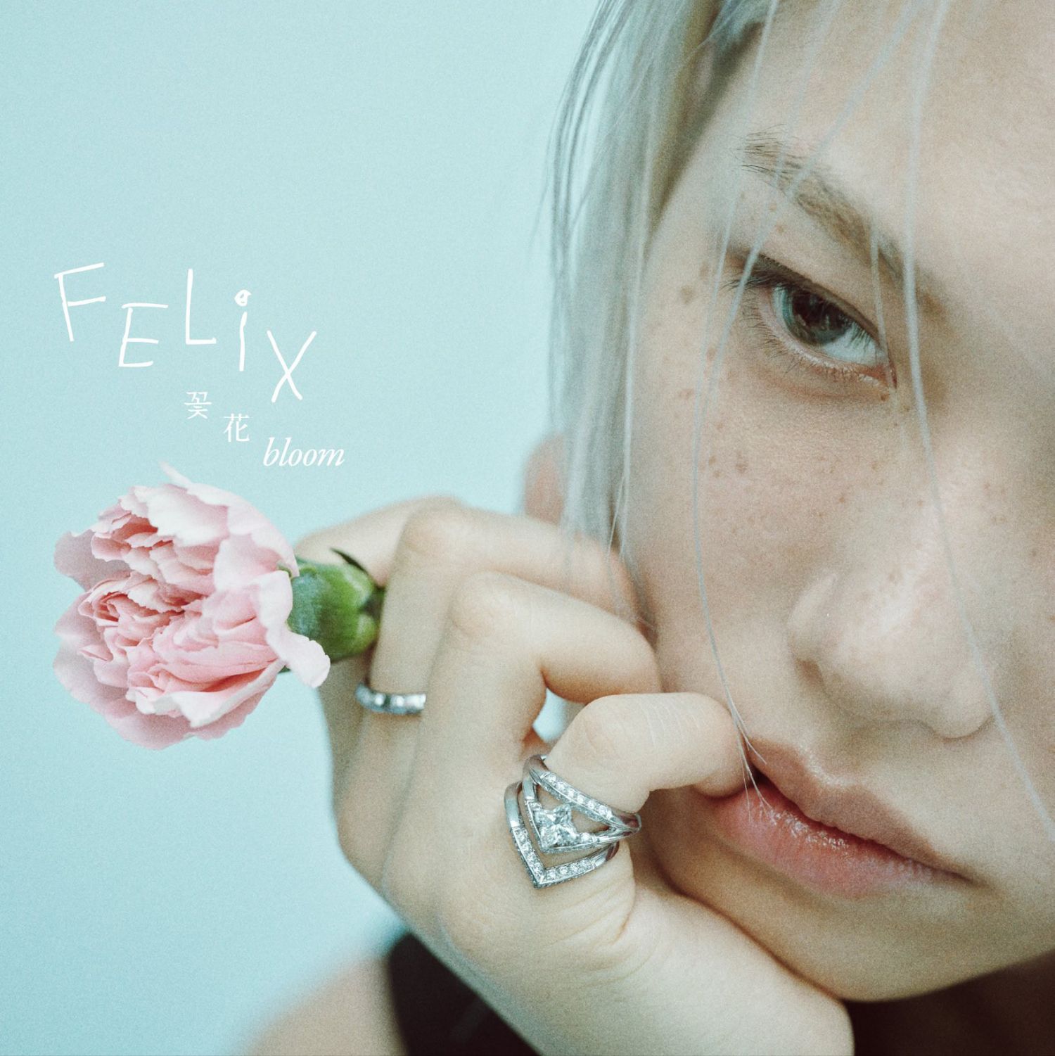 Felix (Stray Kids)粉丝拍下的瞬间