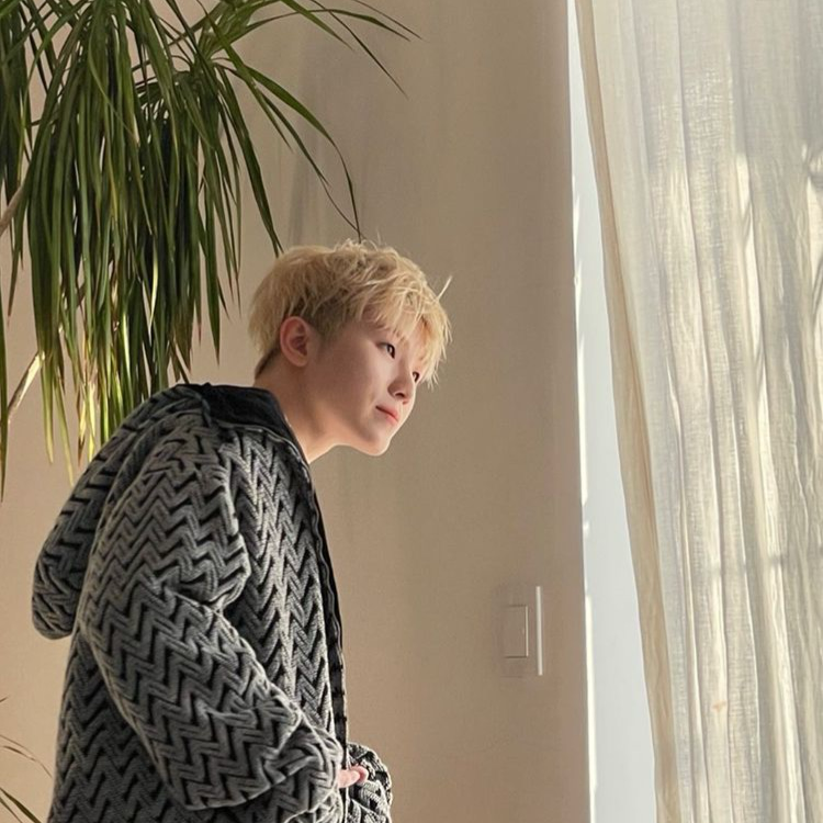 A moment captured by Woozi (SEVENTEEN)'s fan