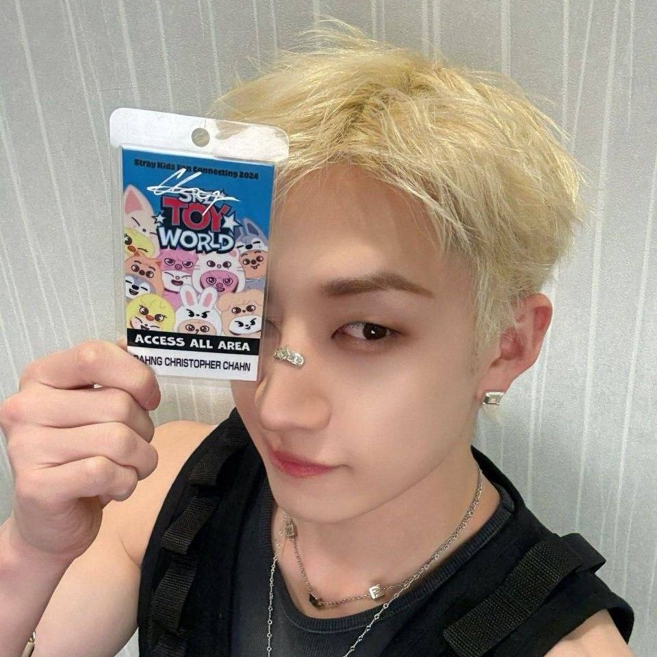 Stray Kids 팬이 찍은 순간