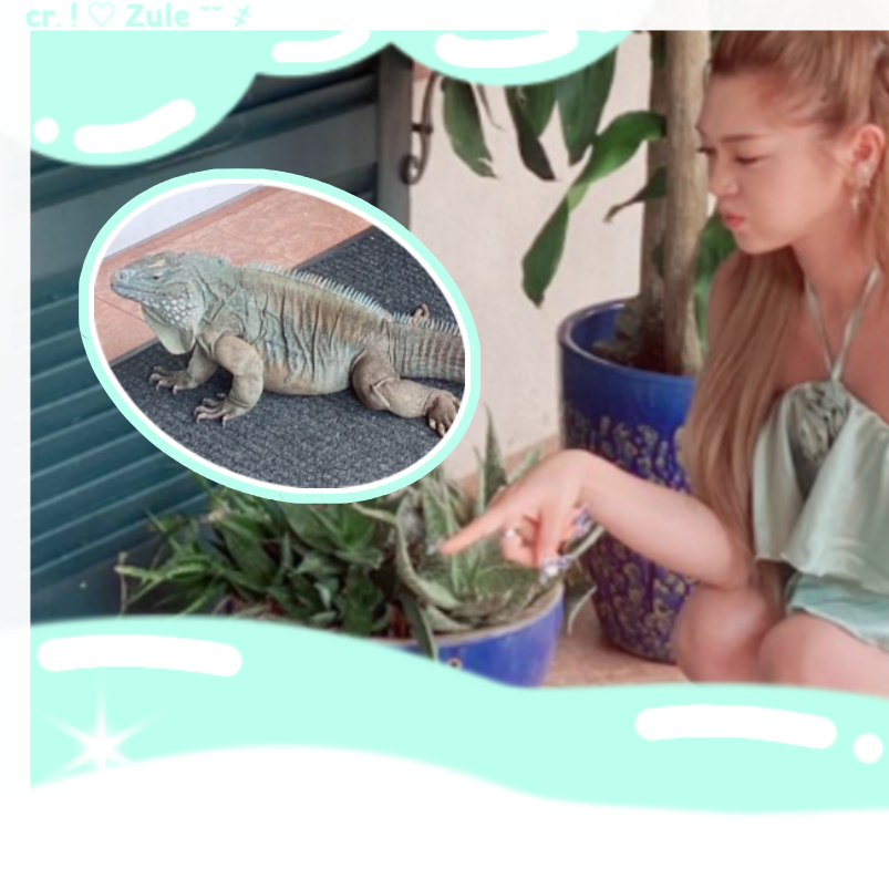 Latest photo of AleXa