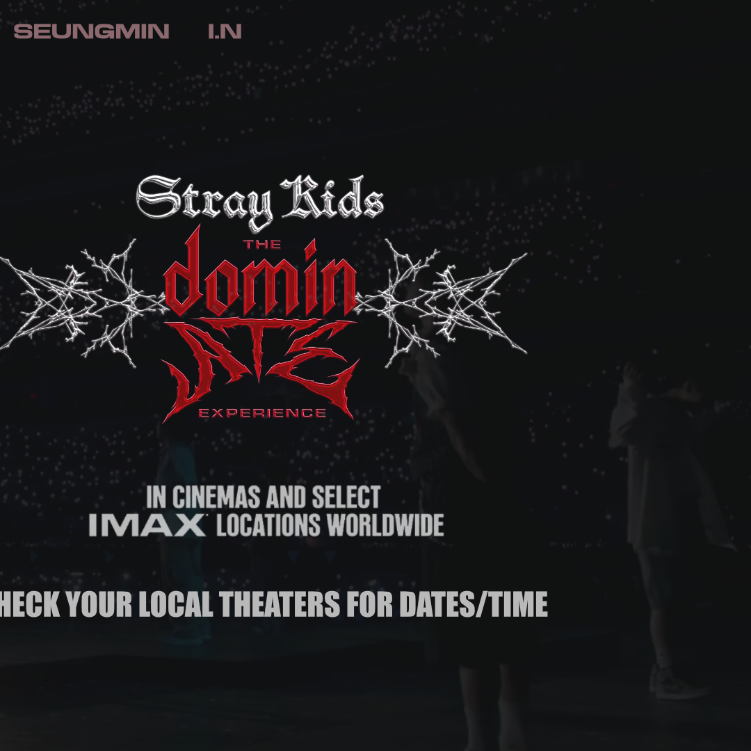 Recent activity shot of Stray Kids