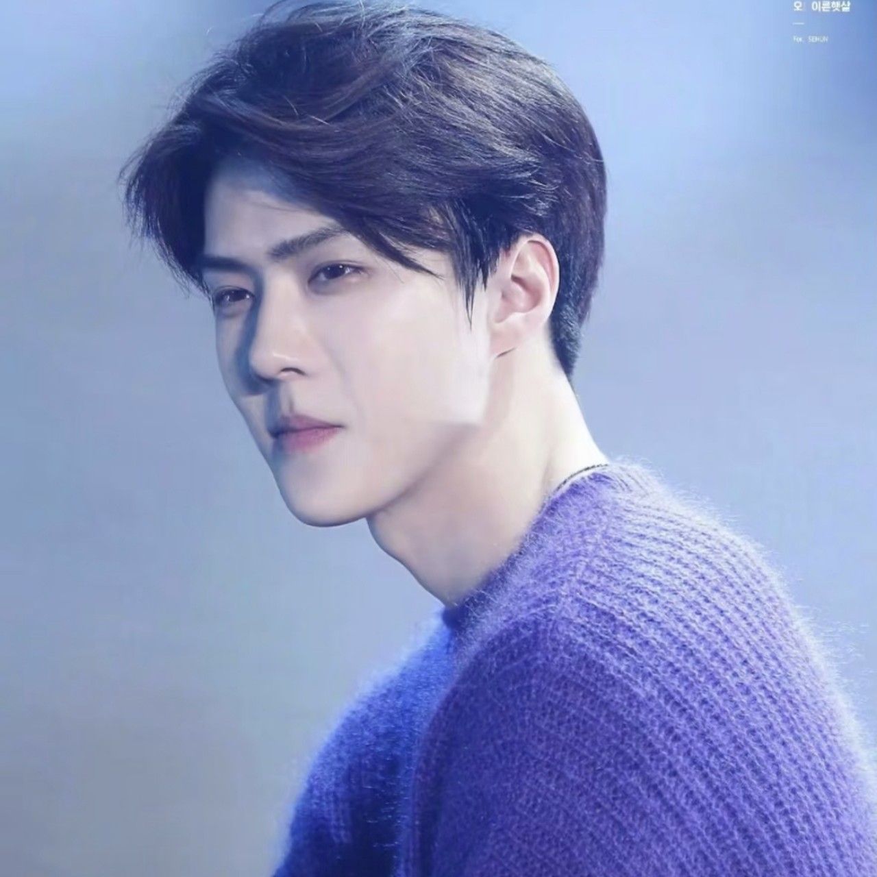 世勳 (EXO)粉絲拍下的瞬間