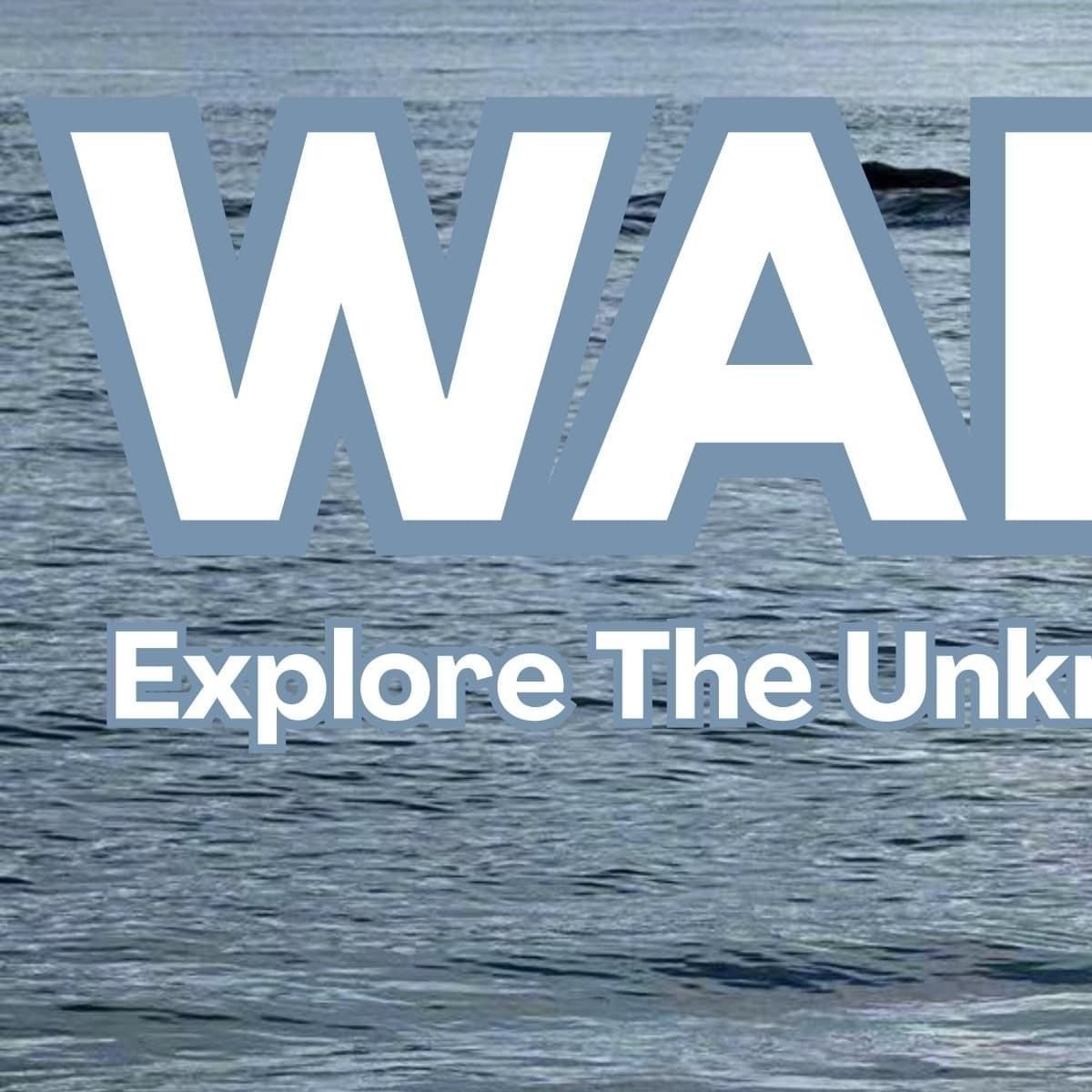 Latest photo of Wang Yibo