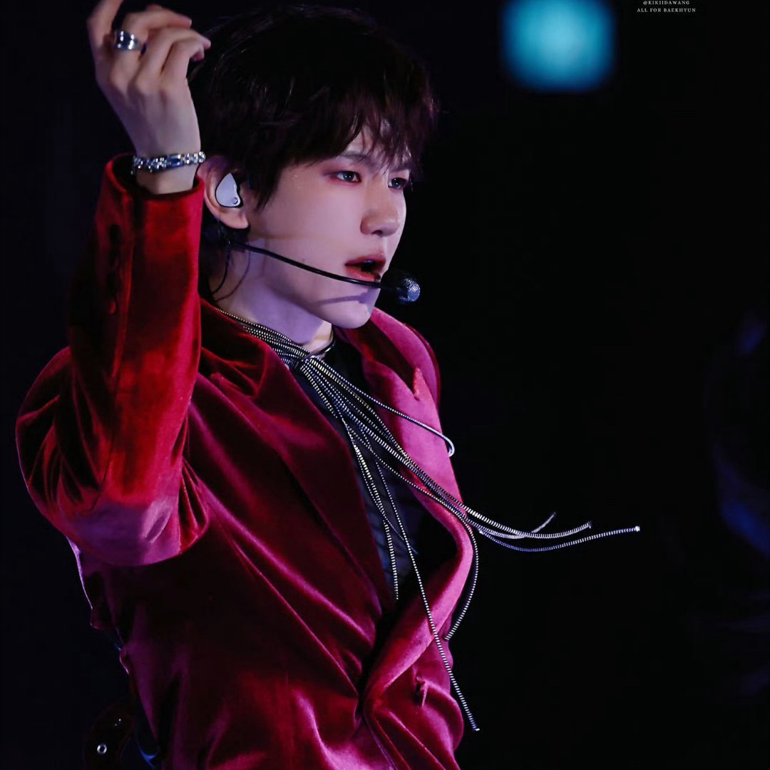 伯賢 (EXO)粉絲拍下的瞬間