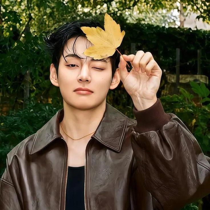 V (防彈少年團)的最新照片