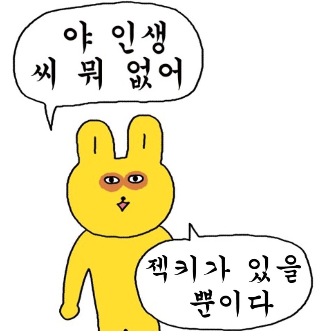 젝스키스 팬이 찍은 순간