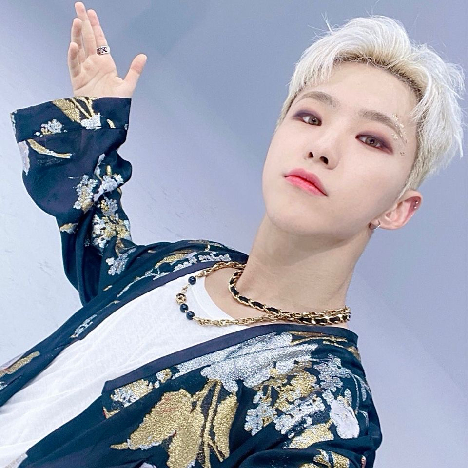 Momen yang diabadikan oleh penggemar Hoshi (SEVENTEEN)