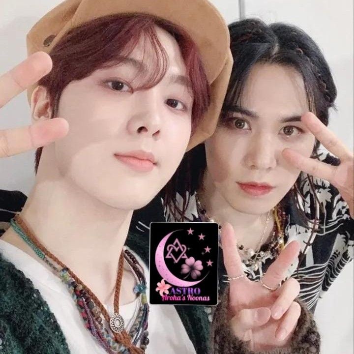 Recent activity shot of Rocky