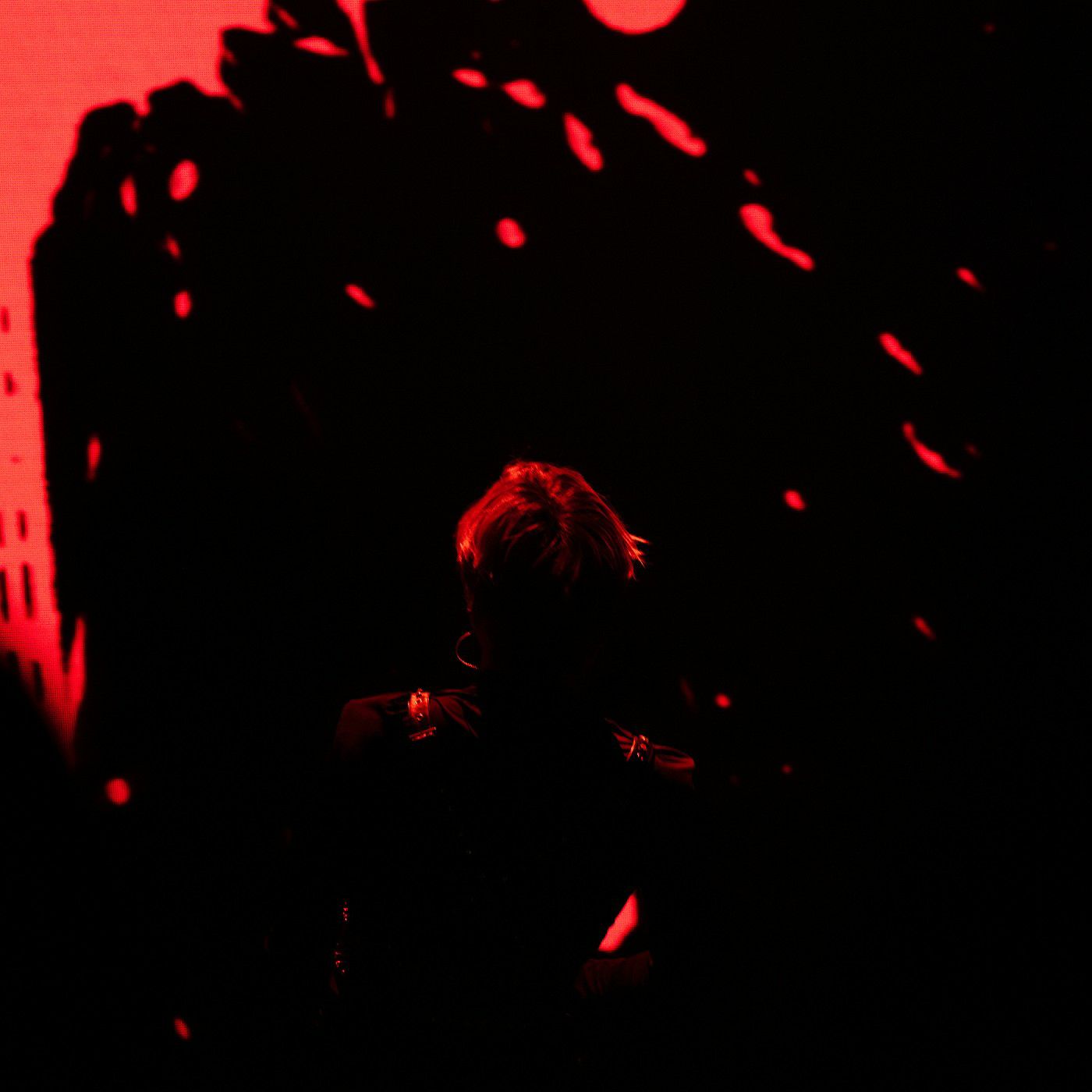 Latest photo of Kang Daniel