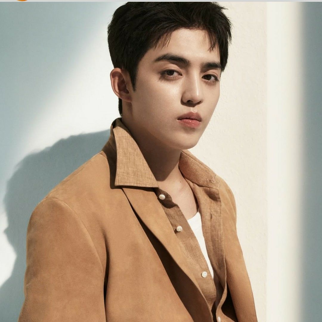 A moment captured by S.Coups (SEVENTEEN)'s fan