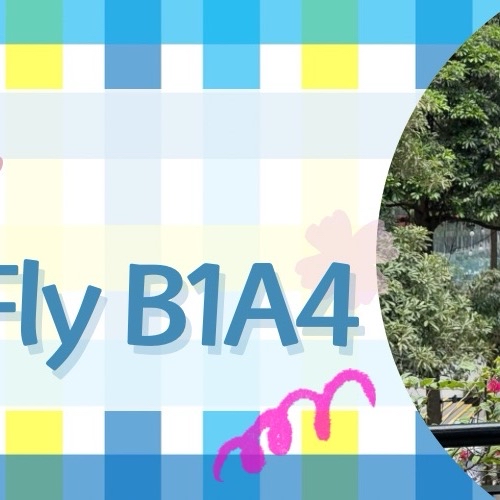 Behind-the-scenes cut of Sandeul (B1A4)