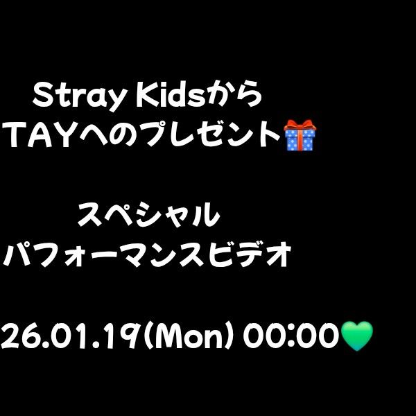 Stray Kids 팬이 찍은 순간