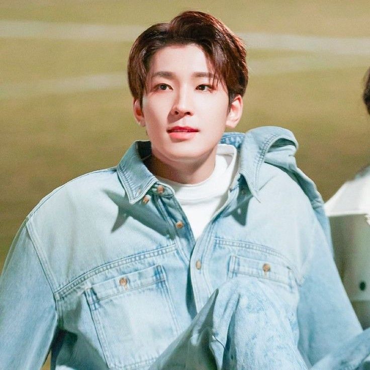 Recent activity shot of Wonwoo (SEVENTEEN)