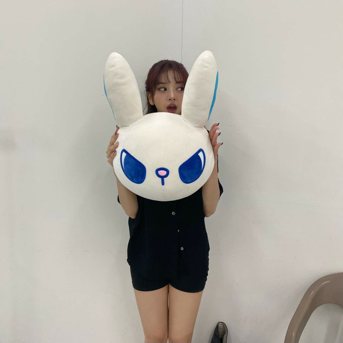 SECRET NUMBER의 최신 사진