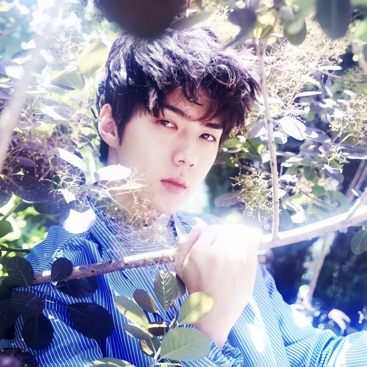 세훈 (EXO)의 비하인드 컷