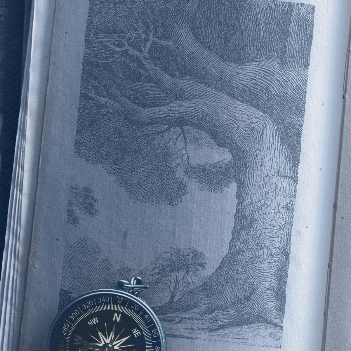 Recent activity shot of Mamehara Issei (JO1)