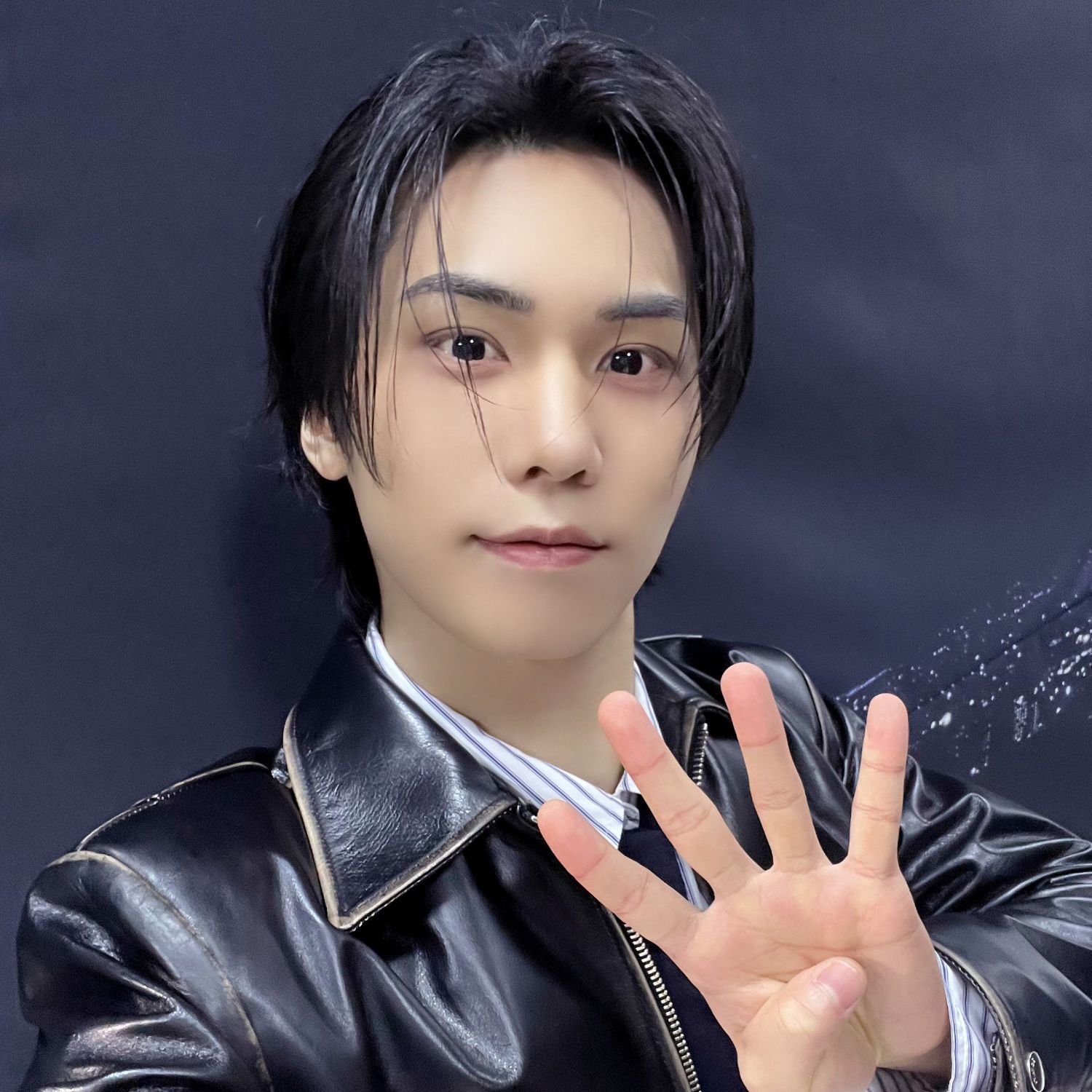 Latest photo of Rocky