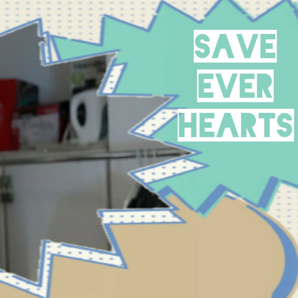 A moment captured by VERIVERY's fan