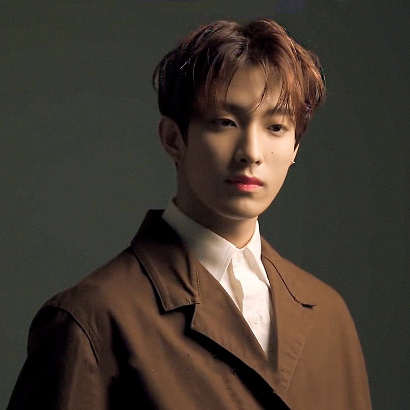 Recent activity shot of DK (SEVENTEEN)