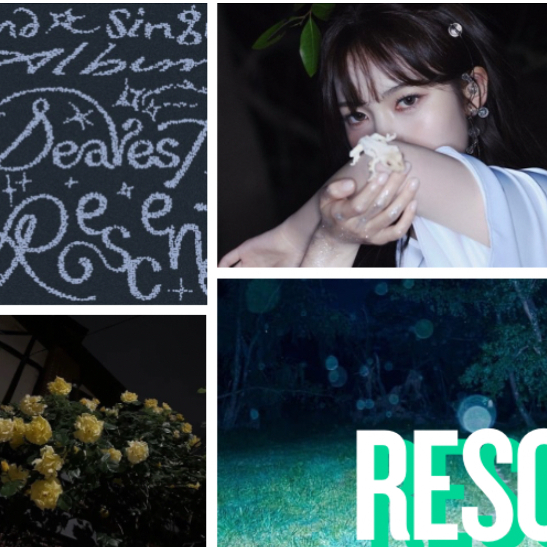 A moment captured by May (RESCENE)'s fan