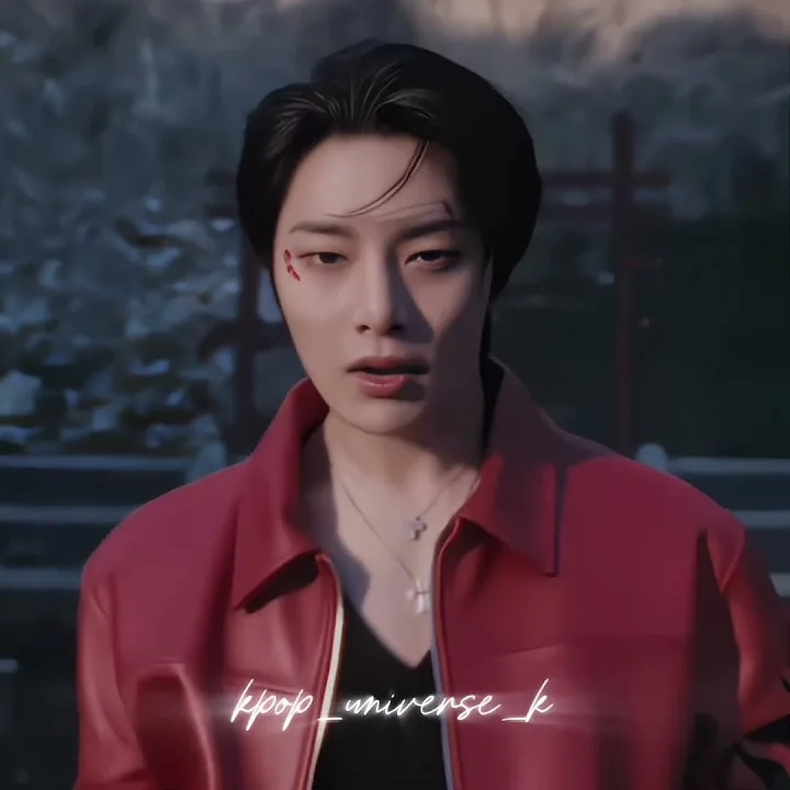 A moment captured by I.N (Stray Kids)'s fan