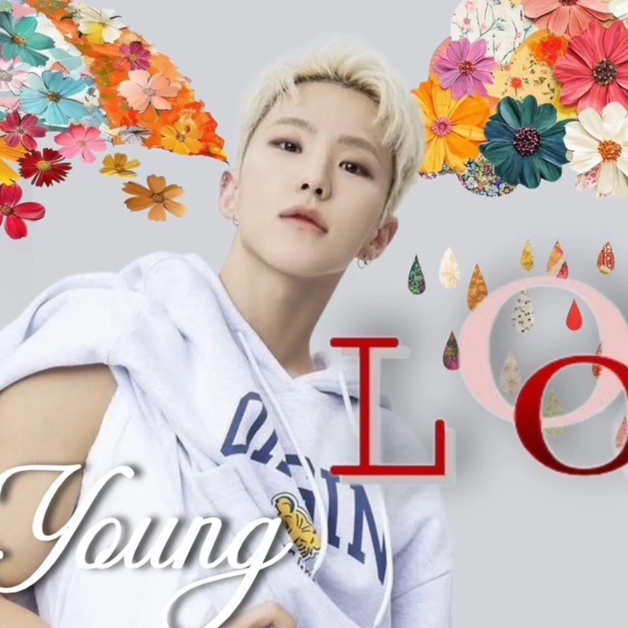 A moment captured by Hoshi (SEVENTEEN)'s fan