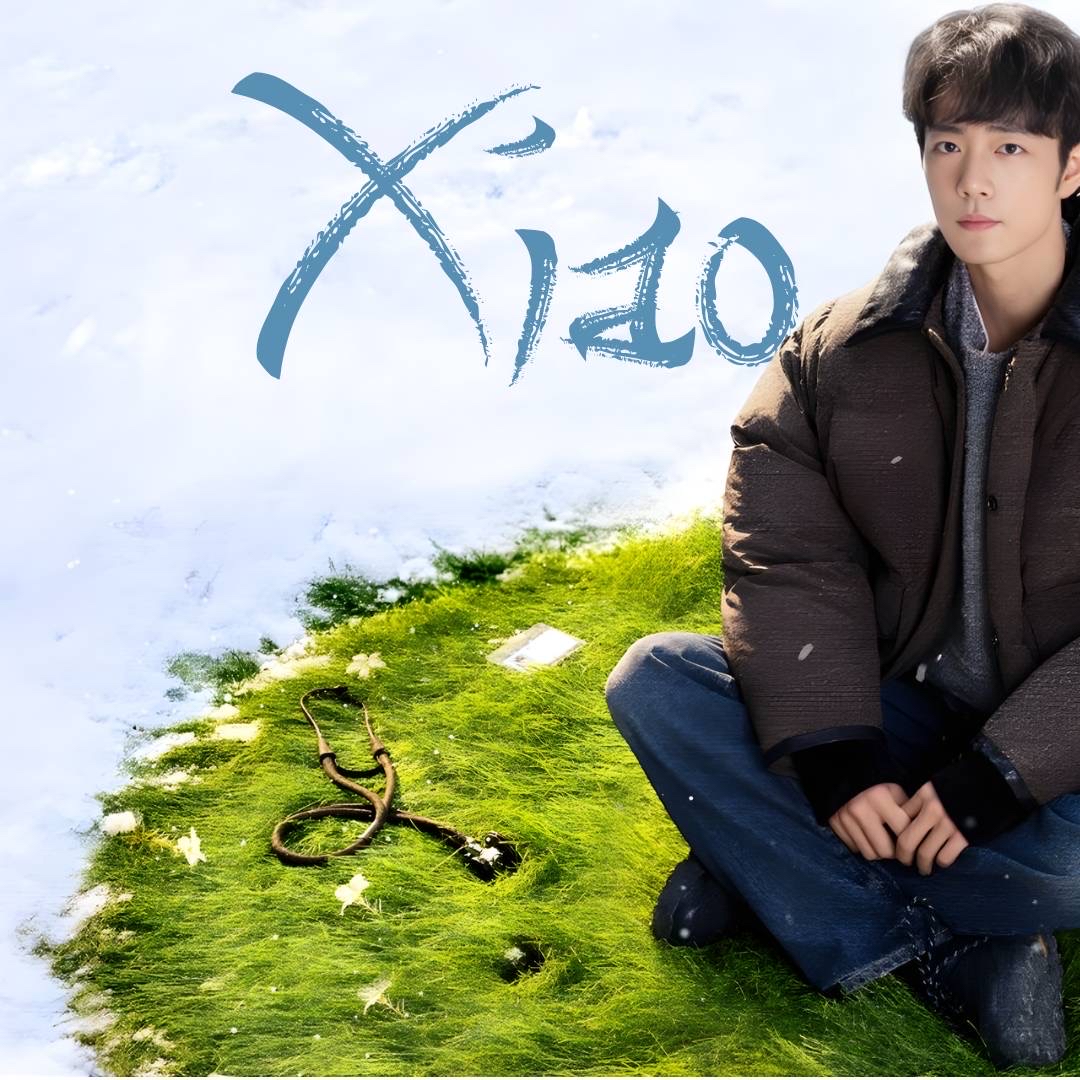 A moment captured by Xiao Zhan's fan